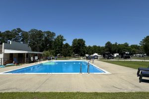 swimming-pool2-1024x768