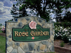 wilson-rose-garden